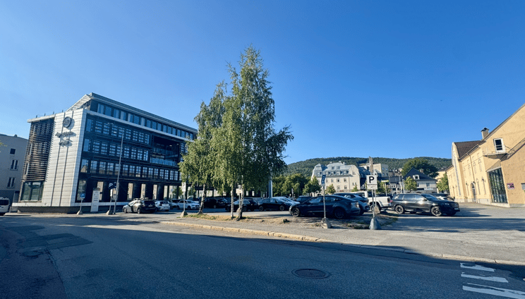 Grønland 1